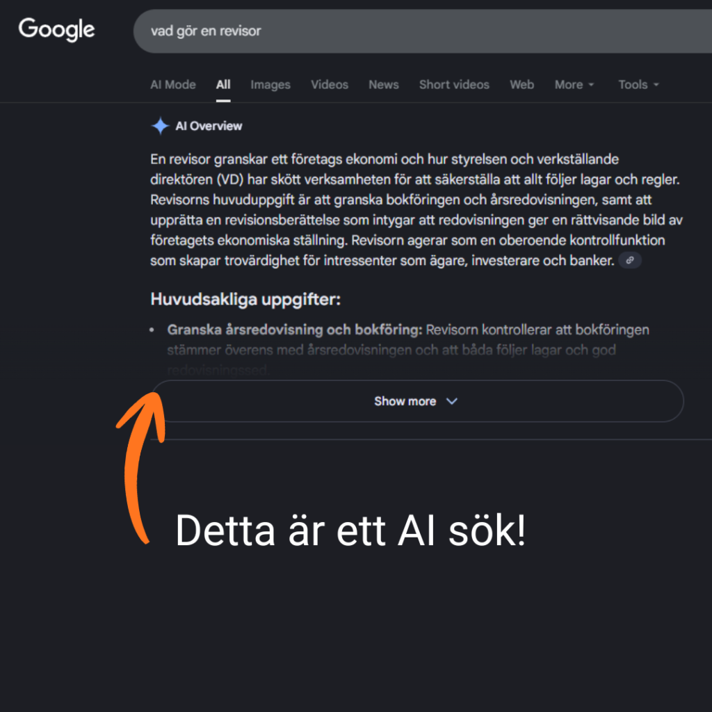 Sökresultat om revisorer och bokföring